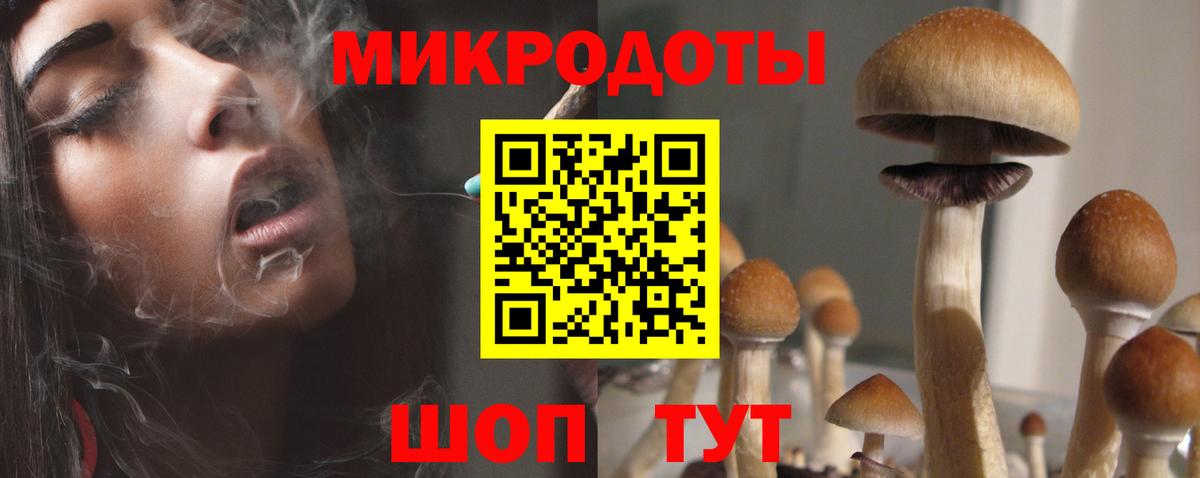 Псилоцибиновые грибы Psilocybine cubensis Верхний Уфалей